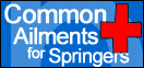 Read about the common ailments a Springer may have